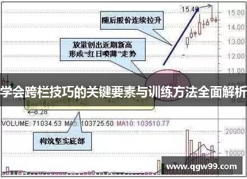 学会跨栏技巧的关键要素与训练方法全面解析