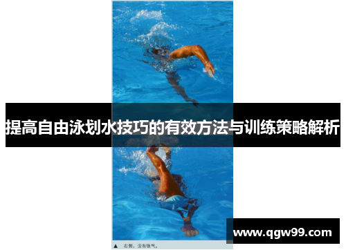 提高自由泳划水技巧的有效方法与训练策略解析