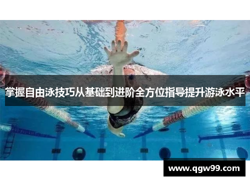 掌握自由泳技巧从基础到进阶全方位指导提升游泳水平