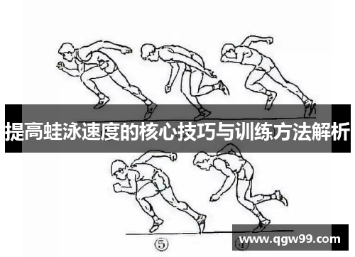 提高蛙泳速度的核心技巧与训练方法解析
